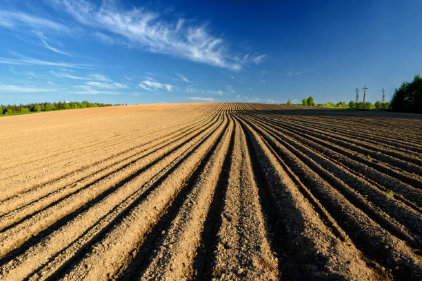 istock Simple country landscape with plowed fields and blue skies. 1372164907