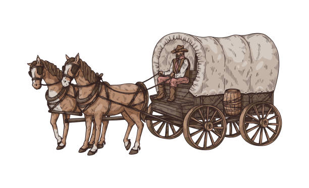 Old Horse Carriage Or Wagon With Coachman Sketch Vector