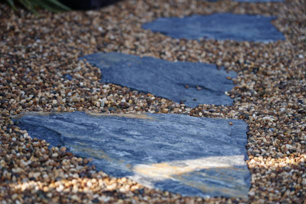 istock Walkway in the garden 1372167461