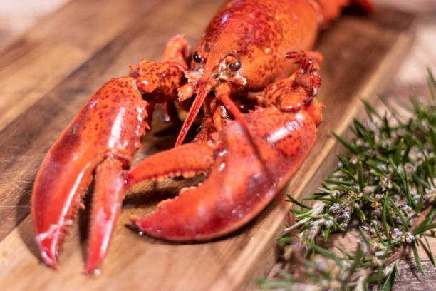 istock Cooked lobster with rosemary 1372167872