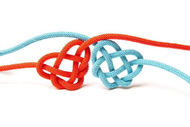 istock Red and blue heart shaped knots isolated on white 1372169198