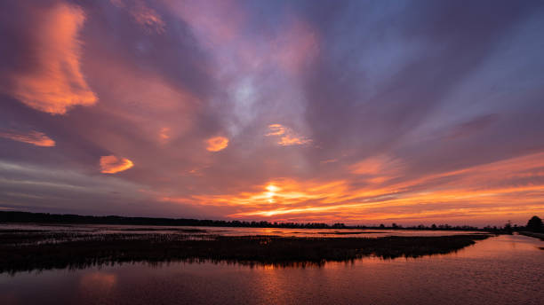 istock Lake Mattamuskeet Sunset 1372169209