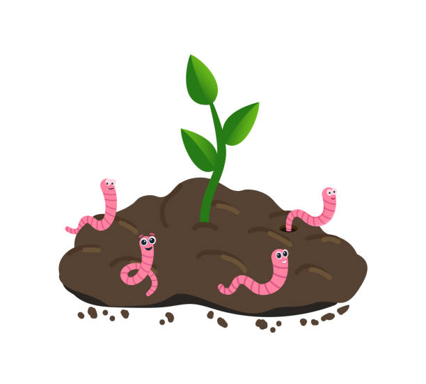 ilustrações de stock, clip art, desenhos animados e ícones de small plant growing in the ground and earthworm. worm and young green plant. - worm poop