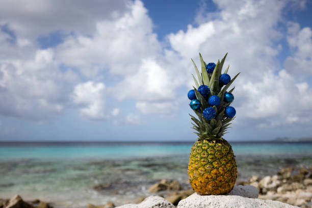 Pineapple decorated with Christmas balls stands on the rock on the beach with azure sea behind it.
