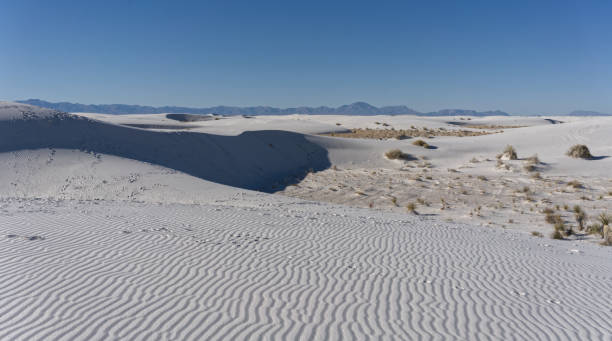 istock White Sands National Park, New Mexico 1372170116