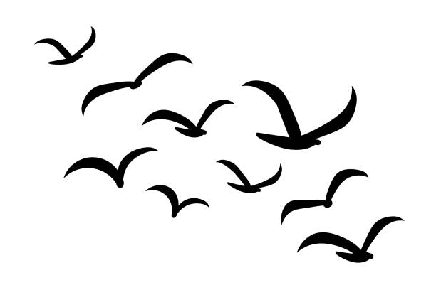 istock Silhouettes of groups of  birds on white 1372173941