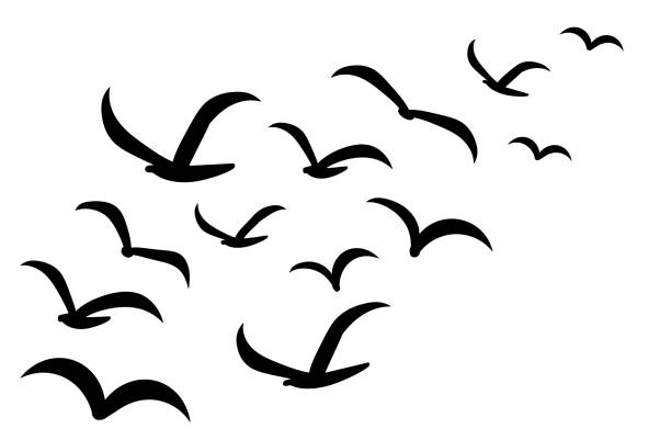 istock Silhouettes of groups of  birds on white 1372173943