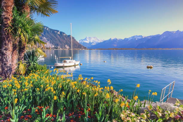 Geneva lake at Montreux, Vaud, Switzerland Geneva lake at Montreux by day, Vaud, Switzerland montreux stock pictures, royalty-free photos & images