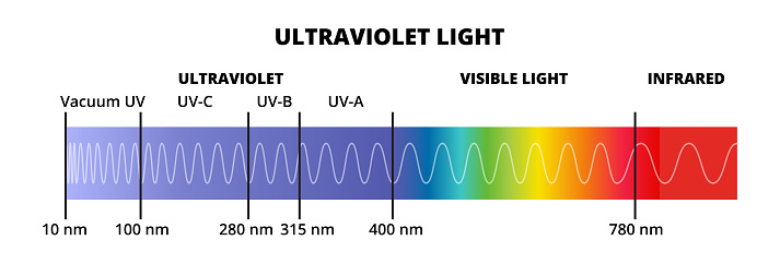 Vector diagram with the ultraviolet light spectrum UV with the visible spectrum and infrared isolated on a white background. Electromagnetic radiation with a wavelength from 10 nm to 400 nm. Blue or violet light. UV-A, UV-B, UV-C, Vacuum UV.