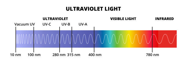 Vector diagram with the ultraviolet light spectrum UV isolated on a white background. Electromagnetic radiation with a wavelength from 10 nm to 400 nm. Vector diagram with the ultraviolet light spectrum UV with the visible spectrum and infrared isolated on a white background. Electromagnetic radiation with a wavelength from 10 nm to 400 nm. Blue or violet light. UV-A, UV-B, UV-C, Vacuum UV. photon stock illustrations