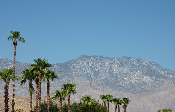 istock Palm Springs palms with mountains 137218110