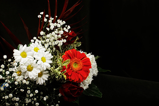 flowers with black background