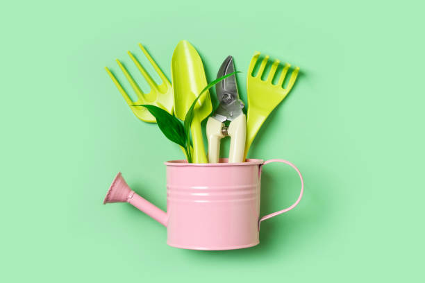 istock Growth and gardening creative concept with colors tools on green background, 1372184382