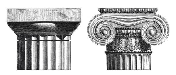 Doric and Ionic capitals Illustration from 19th century. doric stock illustrations