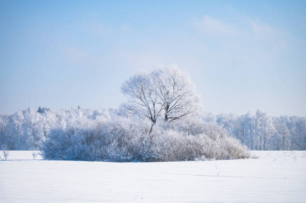 istock not frozen pond in winter 1372185007