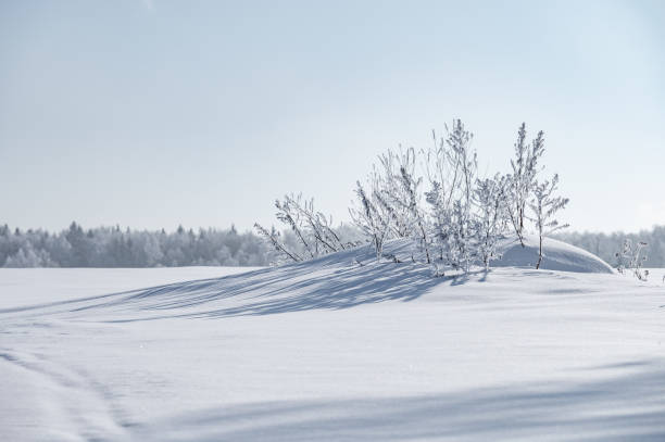 istock not frozen pond in winter 1372185555