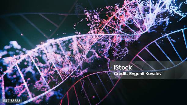 Dna Strands Stock Photo - Download Image Now - DNA, Biology, Abstract