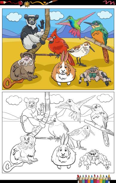 Cartoon Animal Characters Group Coloring Book Page Stock Illustration -  Download Image Now - Cardinal - Bird, Activity, Animal - iStock