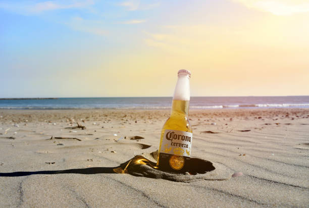 bottiglia di birra corona cerveza sulla spiaggia vicino al mare. birra fredda sullo sfondo del tramonto nella sabbia. corona extra coronita mexican lager bottle glass. - beer bottle beer cold alcohol foto e immagini stock