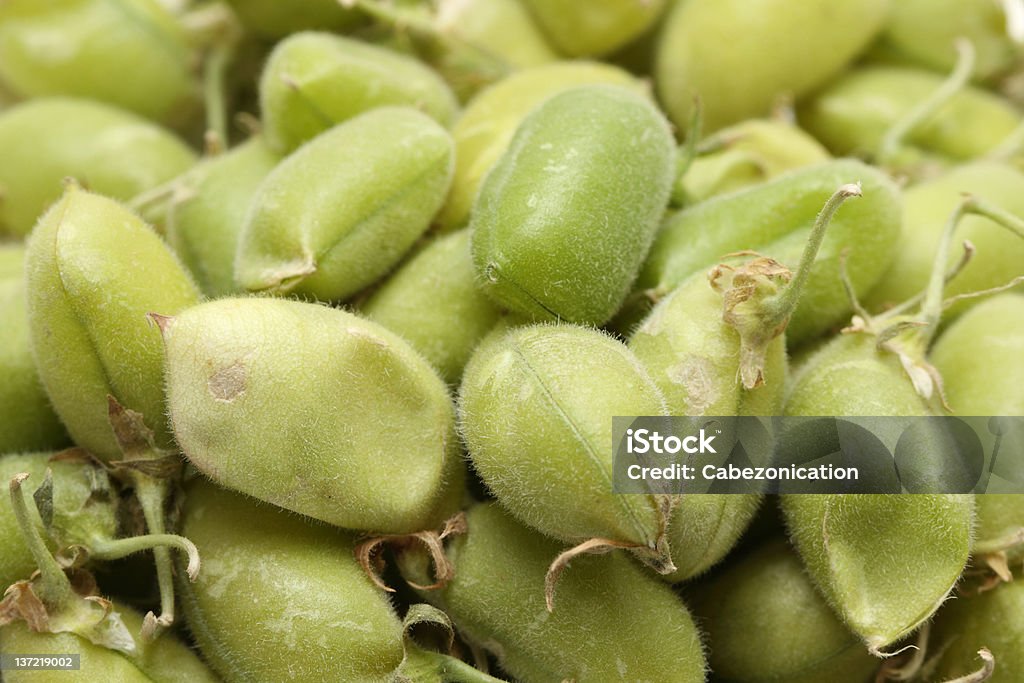 bean Station de - Photo de Agriculture libre de droits