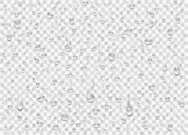 illustrazioni stock, clip art, cartoni animati e icone di tendenza di impostare gocce di pioggia d'acqua, goccioline pure condensate su sfondo trasparente. bolle di illustrazione vettoriale realistiche sul vetro della finestra. - condensate