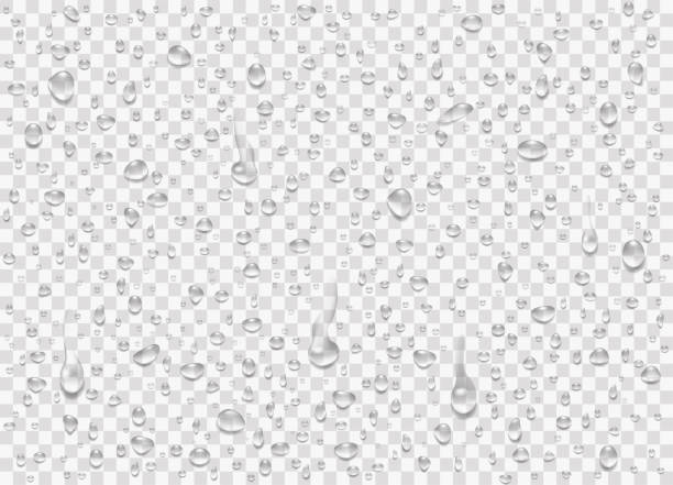Set water rain drops, pure droplets condensed on transparent background. Realistic vector illustration bubbles on window glass. Set water rain drops, pure droplets condensed on transparent background. Realistic vector illustration bubbles on window glass. Design for poster, banner, concept rain drop stock illustrations