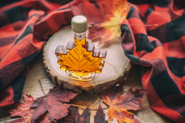 Maple syrup gift bottle in red maple tree leaves for tourist souvenir. Canada grade A amber sweet natural liquid from Quebec sugar shack maple trees farm stock photo