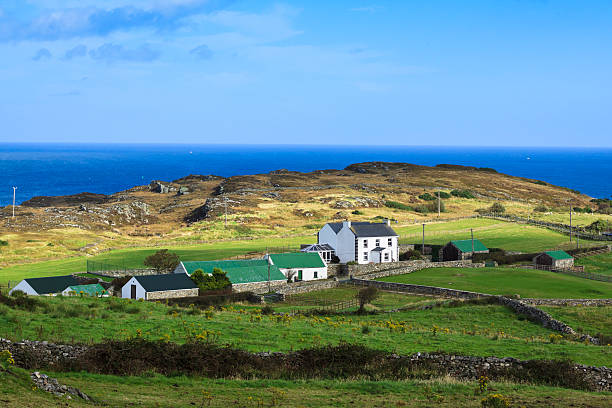 istock Irish Landscape, farmland 137220154