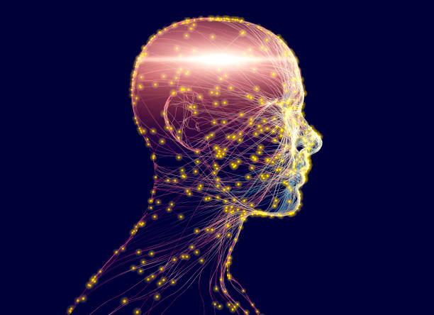 istock Neurology, philosophy: connections, the development of thought and reflection, the infinite possibilities of the brain and mind. Human anatomy. Digital reality, artificial consciousness 1372204962
