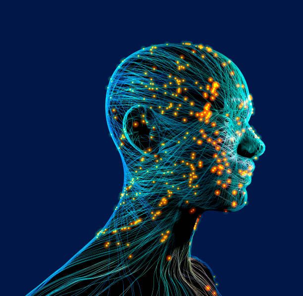 istock Neurology, philosophy: connections, the development of thought and reflection, the infinite possibilities of the brain and mind. Human anatomy. Digital reality, artificial consciousness 1372204963