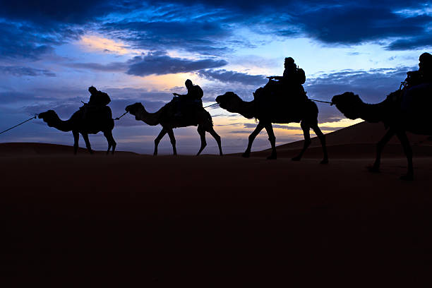 istock Camel train silhouetted against colorful sky in Sahara Desert Morocco 137220515