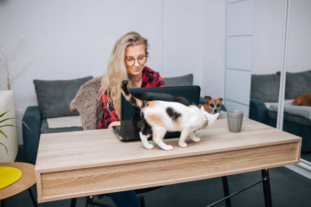 istock Young woman with cat and dog using laptop 1372205175