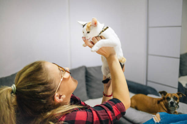 istock Young woman with cat and dog using laptop 1372206230