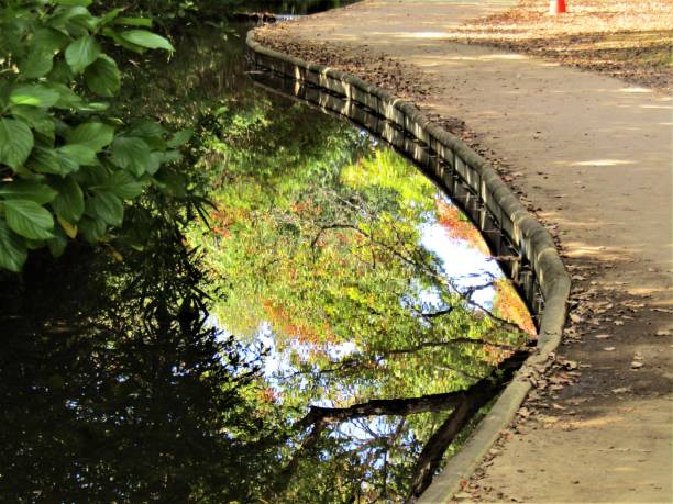istock Japan. November. Autumn looking in the pond surface. 1372207683