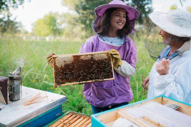 istock Caucasian female beekeepers checking the beehives 1372208884