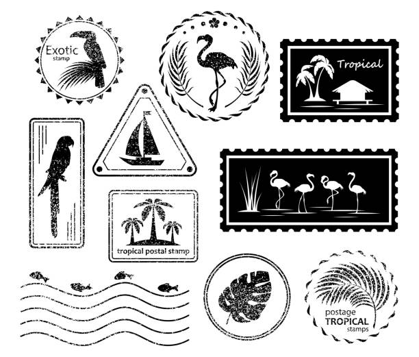 ilustraciones, imágenes clip art, dibujos animados e iconos de stock de sellos postales y matasellos. conjunto de símbolos tropicales - rubber