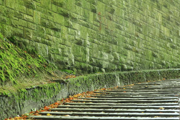 Stone stairs and a granite wall covered with green moss