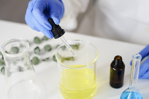 Scientist in gloves with pipette pouring liquid into flask while conducting chemical experiment in cosmetic laboratory. Eucalyptus branches on the background.