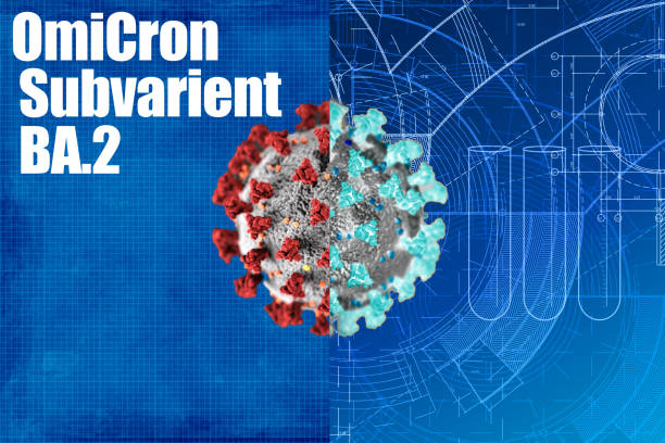 istock BA.2 Omicron Variant Covid-19 concept comparison of mutation. 1372219191