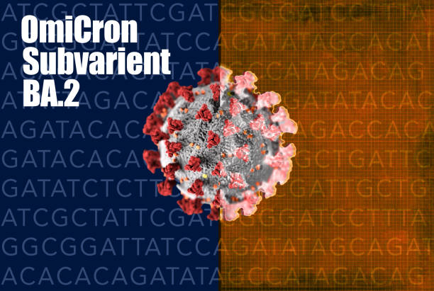 istock BA.2 Omicron Variant Covid-19 concept comparison of mutation. 1372219211