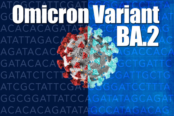 istock BA.2 Omicron Variant Covid-19 concept comparison of mutation. 1372219213
