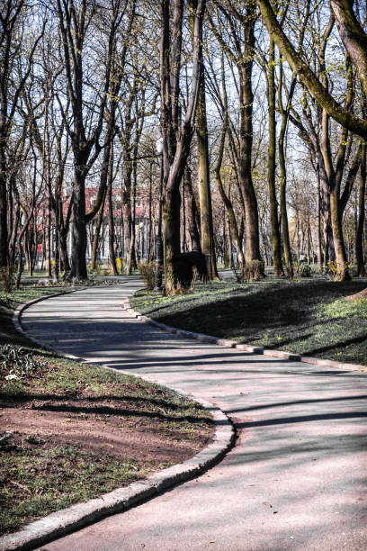 istock Beautiful winding road in the park 1372224574