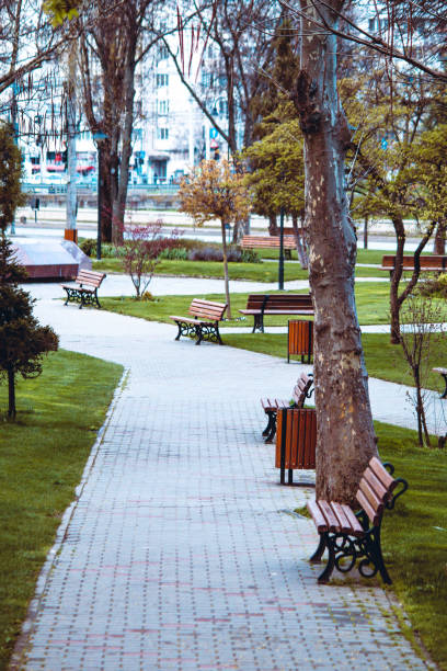 istock Benches on the pavement in the park 1372224832