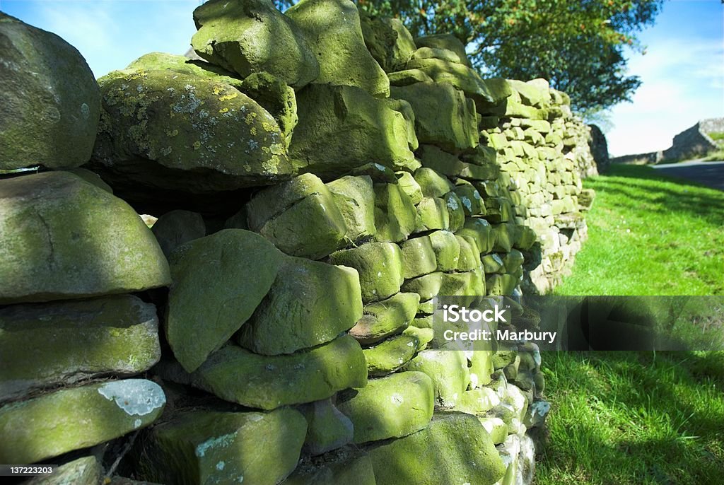 Seco Muro de Pedra 1 - Royalty-free Agricultura Foto de stock