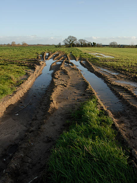 istock VehicleTracks in field 137223249