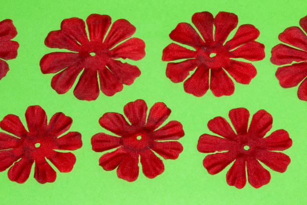 red flowers lie down on a green background creative wallpaper backgrounds