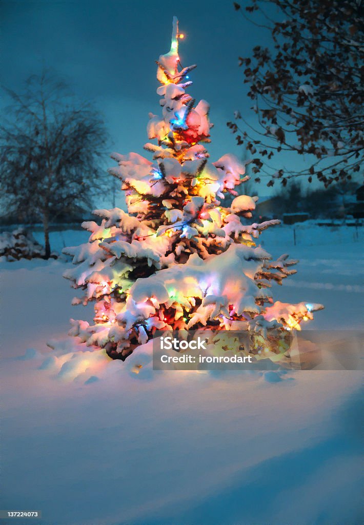 snow covered Chrismas tree A real snow-covered, lighted Christmas tree on a cold winter night Christmas Tree Stock Photo
