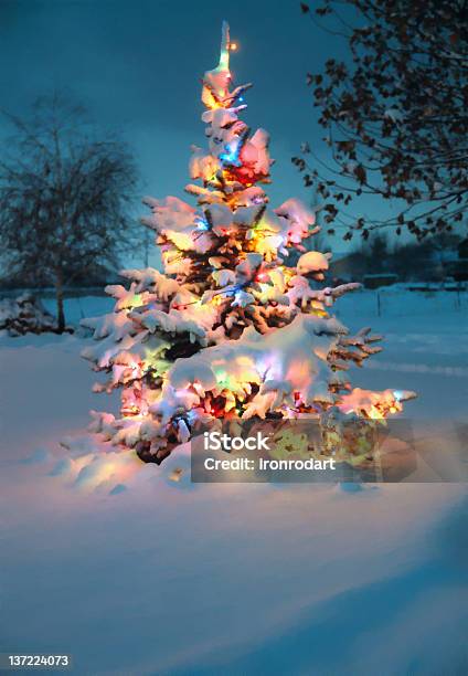 Snow Covered Chrismas Tree Stock Photo - Download Image Now - Christmas Tree, Outdoors, Snow