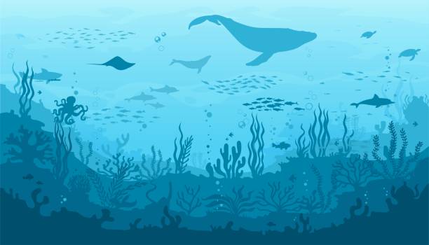 ilustraciones, imágenes clip art, dibujos animados e iconos de stock de paisaje submarino oceánico con ballena de arrecife - oceano