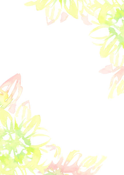 ilustrações de stock, clip art, desenhos animados e ícones de pale flower frame drawn in watercolor - pink background frame femininity pink